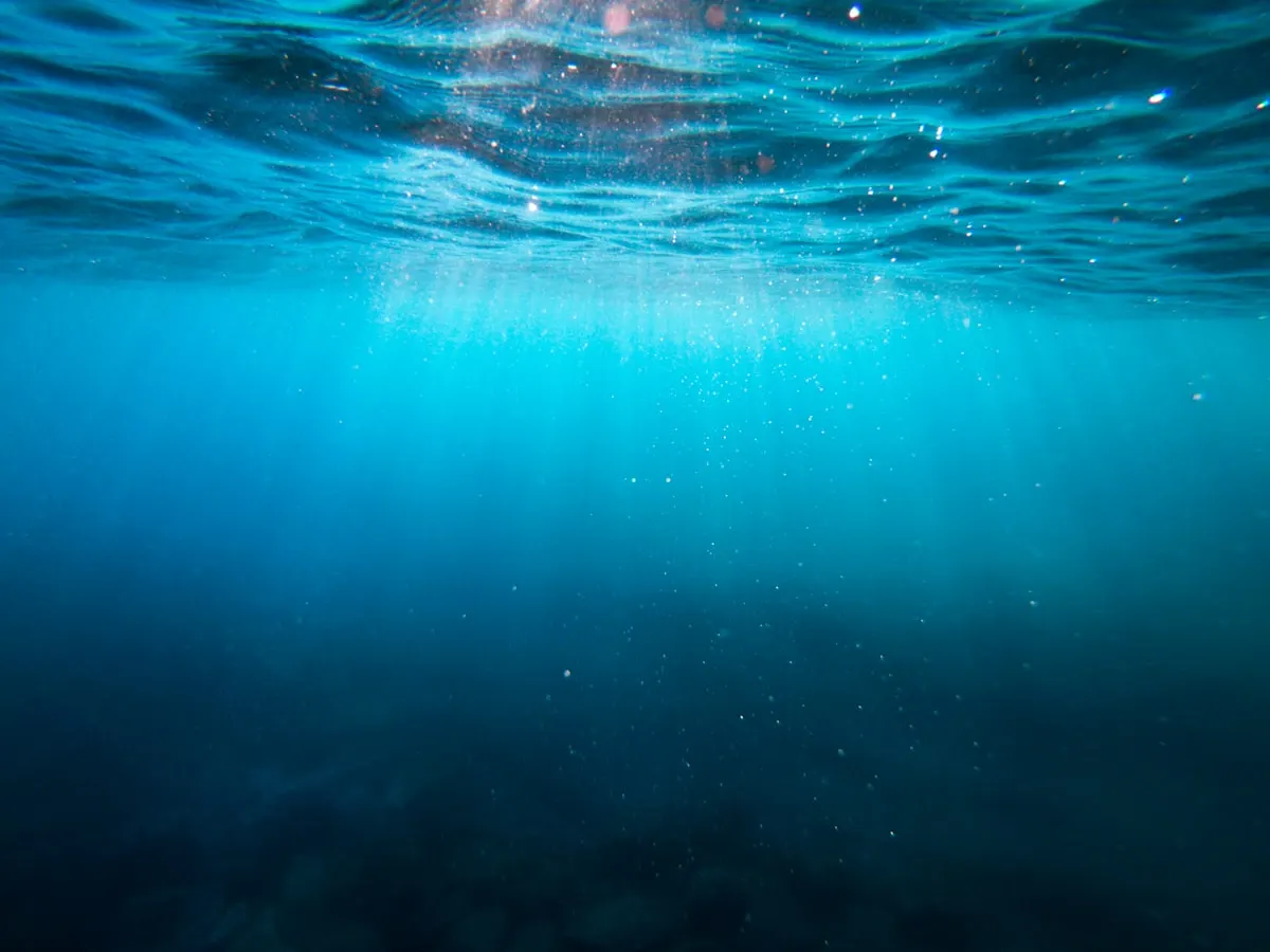 Sunlight filtering through ocean water